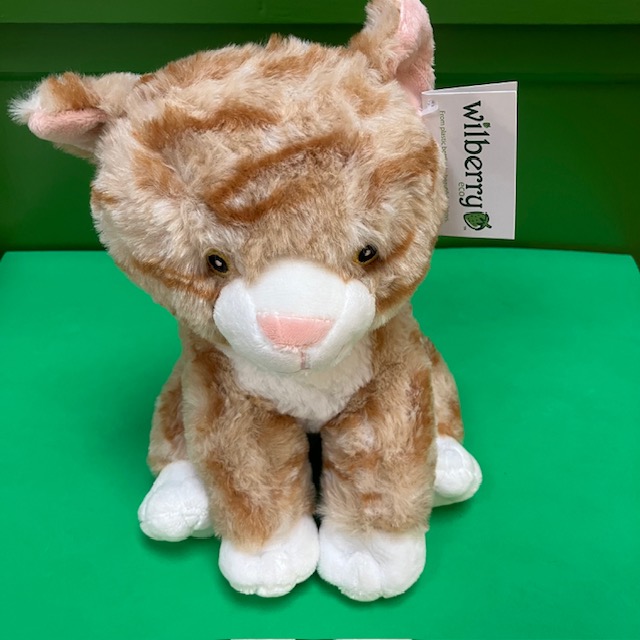 Kitty cat soft toy